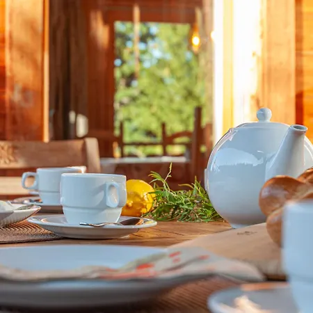 Alpehytte Reves Des Alpes By Interhome Nendaz