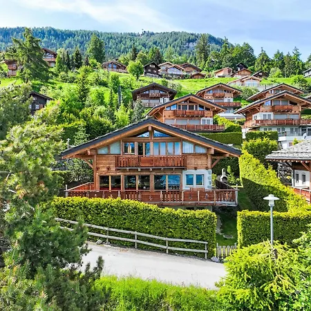 Reves Des Alpes By Interhome Nendaz